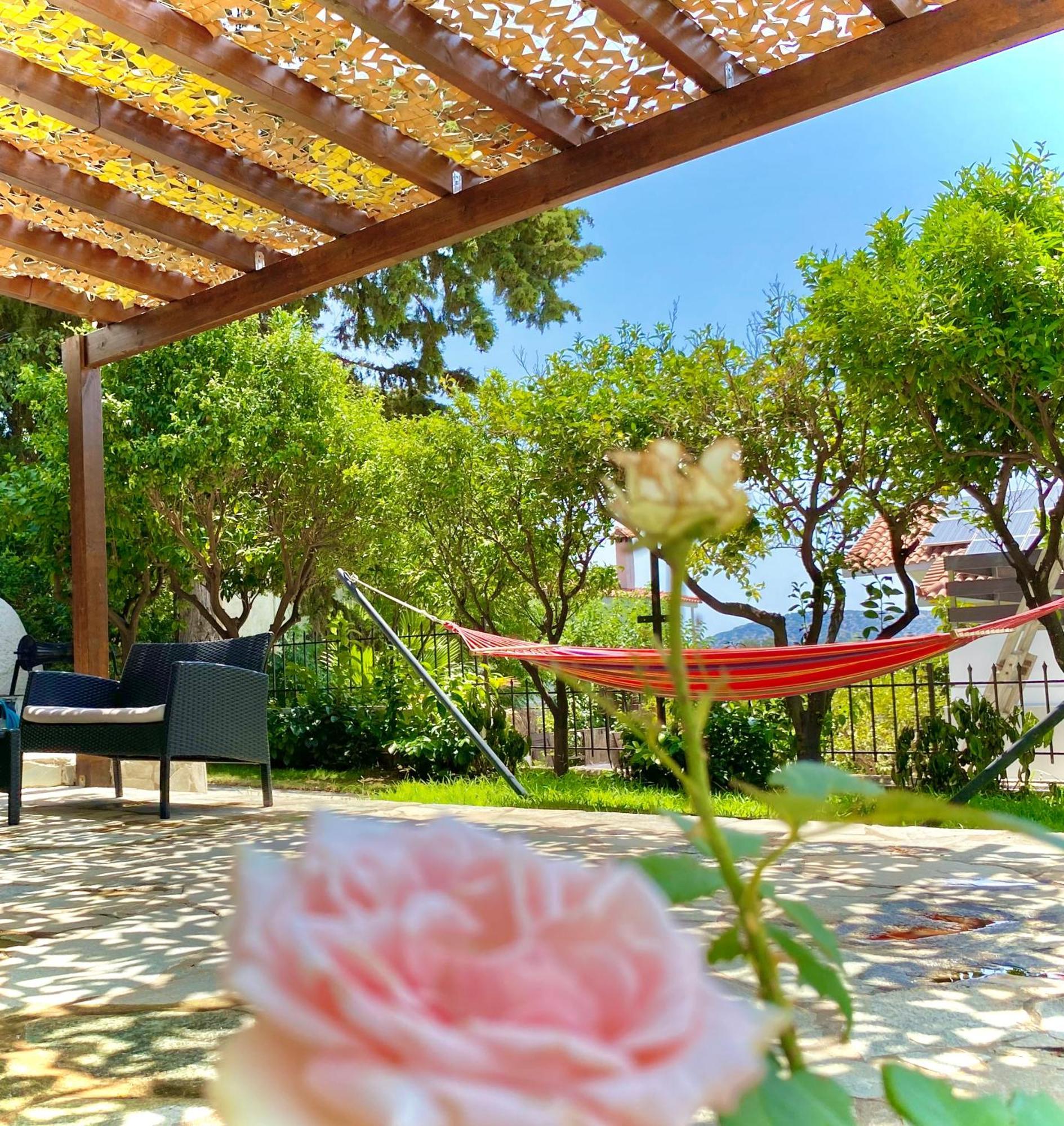 Villa Naya By The Beach Anavyssos Zewnętrze zdjęcie